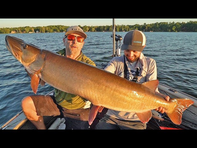 CRAZY May Musky Action!! - Indiana Day 1 