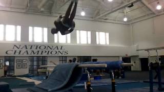 Crazy Gymnastics Crash