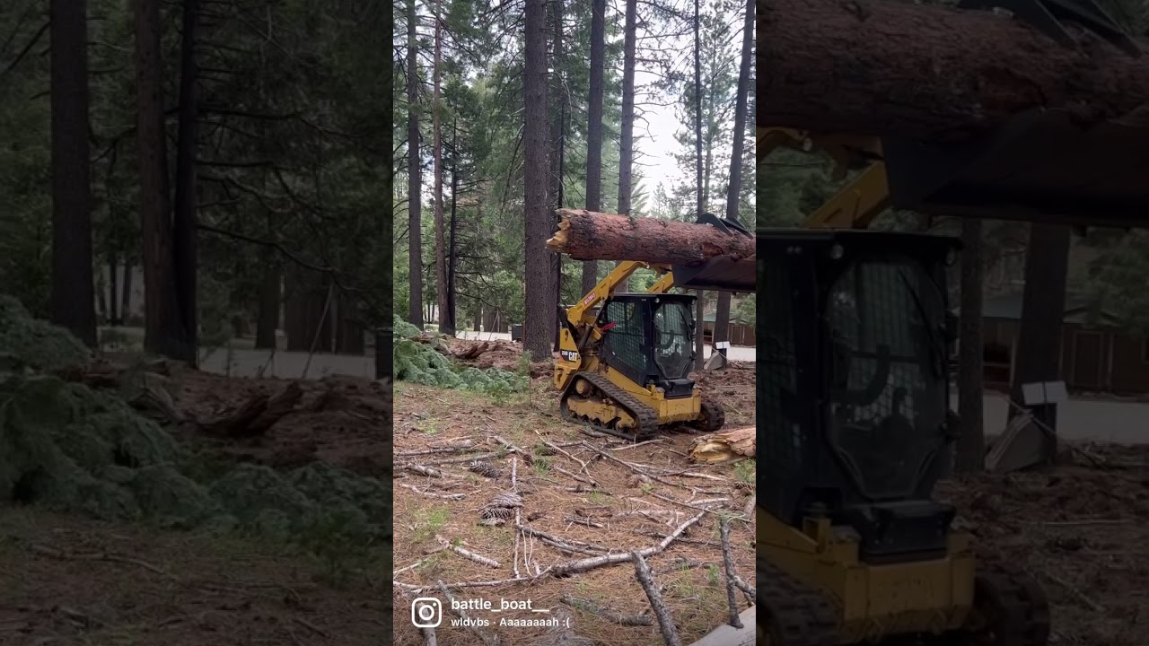 Cat 259d Skidsteer