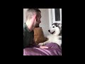 Funny Cats and Dogs Video Vines  BestVine