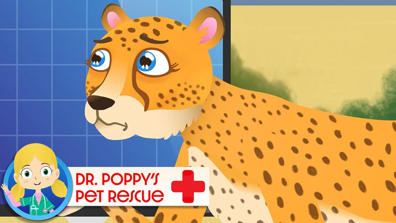 Asha the Cheetah | Doctor Poppy - Animals For Kids | Cartoon Animals