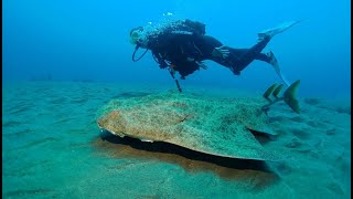 Diving Lanzarote 2020