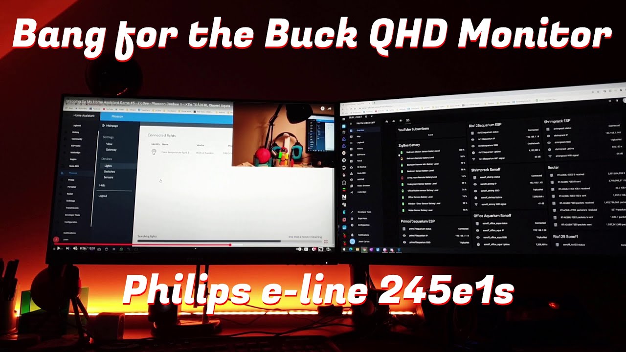 Philips e-line 245e1s - Bang for the 