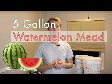 5-gallon-watermelon-mead!
