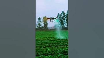 Teknik penyemprotan hama pada tanaman menggunakan teknologi drone #shorts