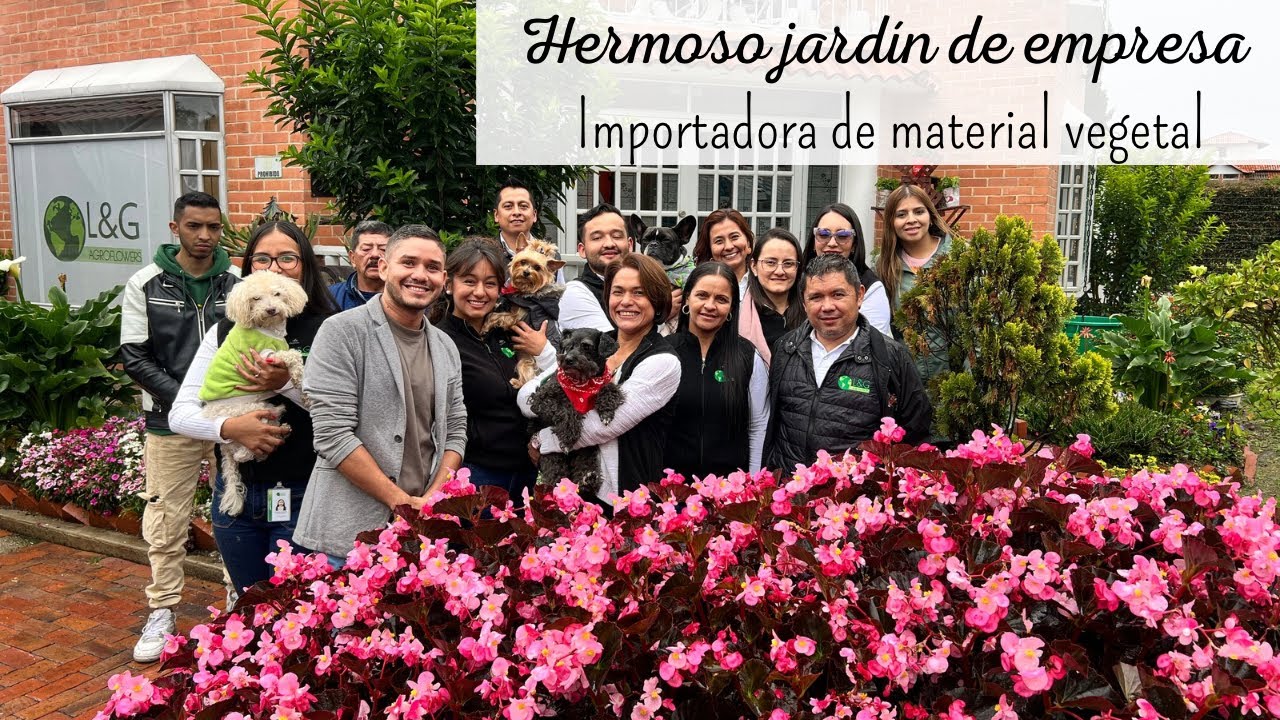 Traen SEMILLAS Y PLANTAS DE MUCHOS PAÍSES A COLOMBIA | l&g Agroflowers