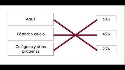 Tutorial - Relación de columnas