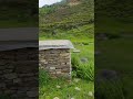 500-Year-Old Himalayan Water Mill Still Running | Traditional Village Life in Nepal#explore #nature