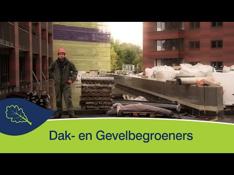 Video: Dak Om Te Groeien