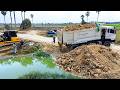 Great New Site Talented! By Dump Truck with Skills Bulldozer SHANTUI fill Soil huge Plains region