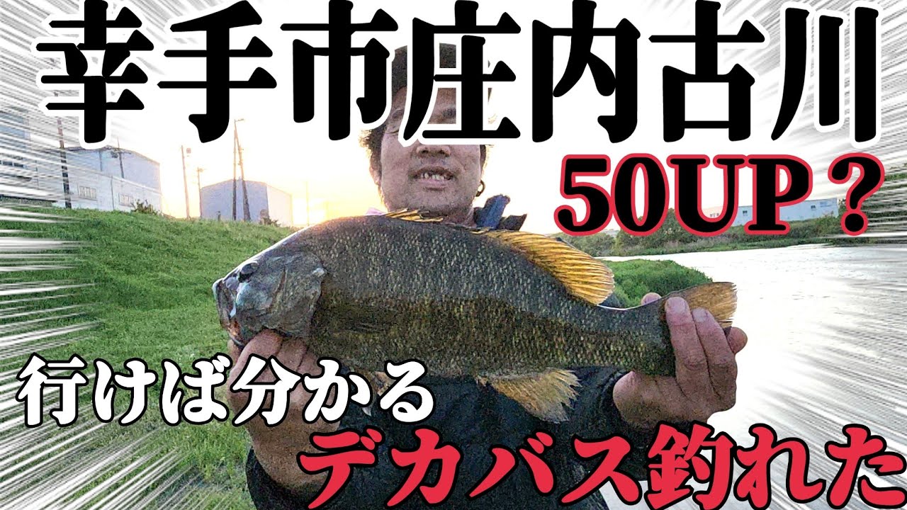 【バス釣り】埼玉バス釣りスポット！本当に釣れた幸手市庄内古川！春の激熱ポイントはここだ！