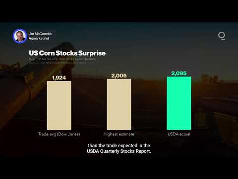Weather Extremes Pressure US Grain Harvests | Presented by CME Group