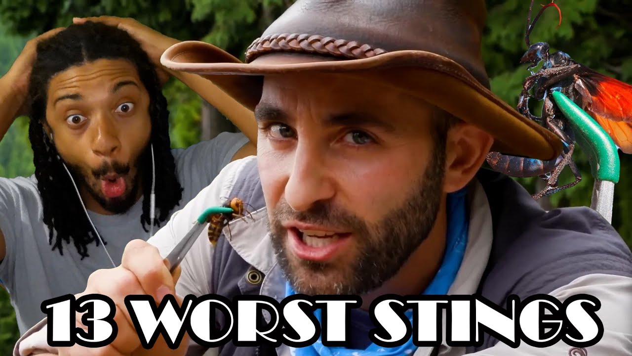 Реакция Бобби Лэштона | 13 самых болезненных укусов Койота Питерсона