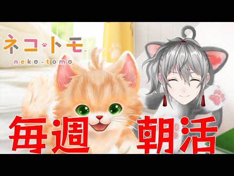 【かわいい】朝活！毎週ネコトモ！【Vtuber】