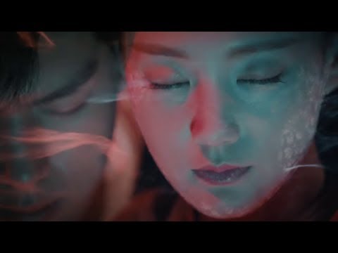 巾幗英雄....葉麗儀主唱