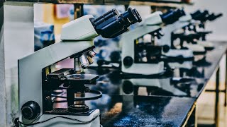 How R&D Consortia Orchestrate the Alzheimer’s Knowledge Ecosystem