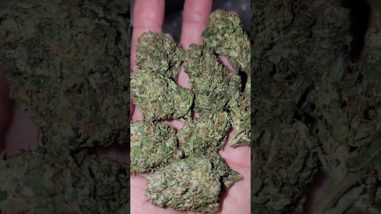 Lemon Cherry Gelato A-Indoor THCa Flower