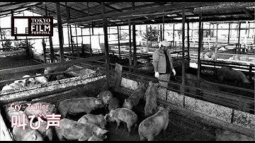 『叫び声』予告編 | Cry - Trailer HD