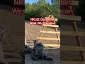 NRL22 December West GA Precision #nrl22 #precisionrifle #rimfire #shooting #competition