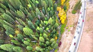Alpine Loop Fall 2025