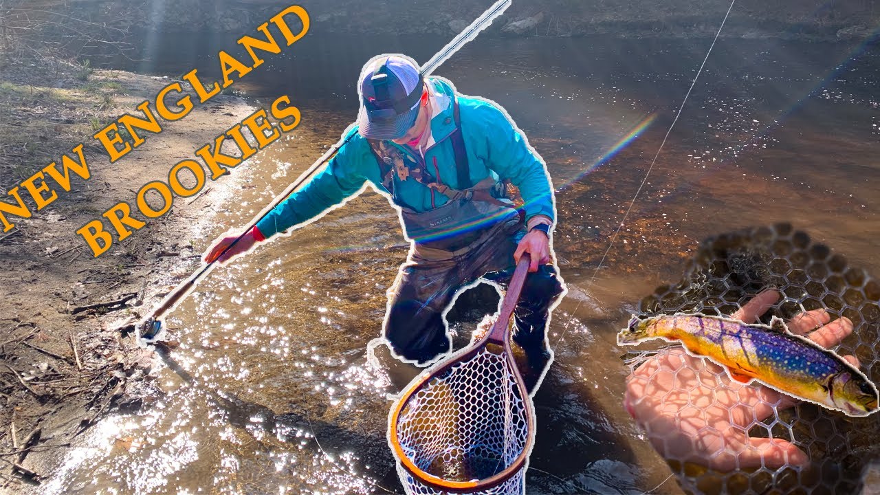 BEAUTIFUL BROOKIES Fly Fishing for Brook Trout in New Hampshire