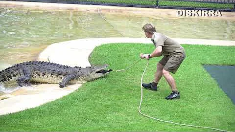 Robert Irwin vs Bluey the Crocodile | Death Roll D...