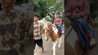 Asiknya naik kuda pagi hari #shorts