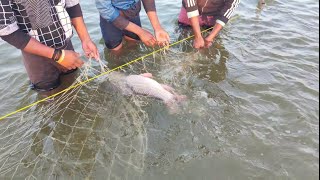 Real village fishing and big fish Net fishing with River Best amazing fishing❤❤❤❤