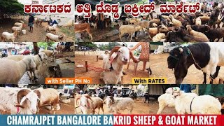 Chamrajpet Sheep Market 2021 | Bakrid 2021 Sheep & Goat Market in Bangalore | Chamrajpet Bakra Mandi