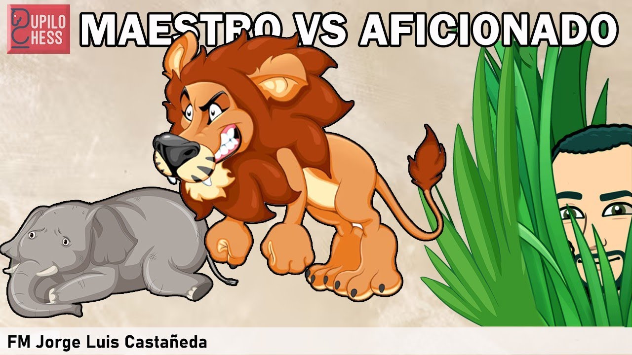 Maestro vs Aficionado: Evita este error muy típico en la estructura Carlsbad!  Una Lección de Tal!!