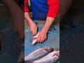 Balık Tazeyse Her Mevsim Gönül Rahatlığıyla Yenir!! #reklam #video #shortsfeed #youtube #short