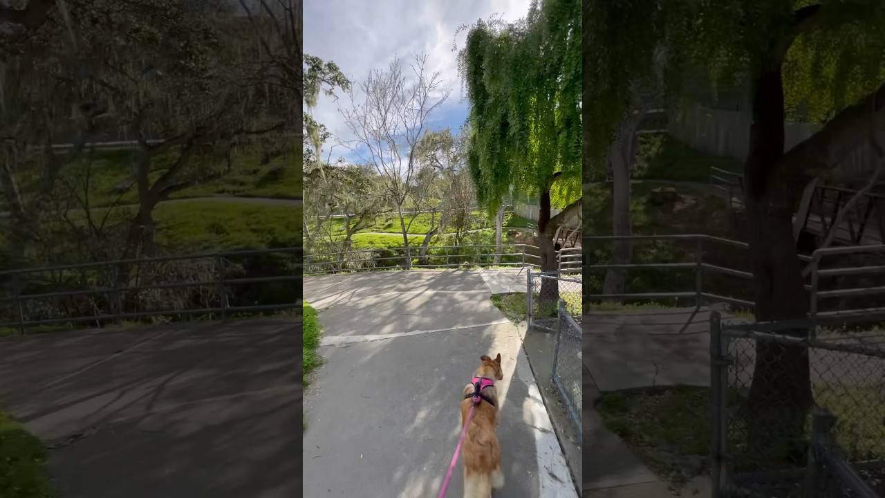 Our Favorite Pacific Grove Parks! 