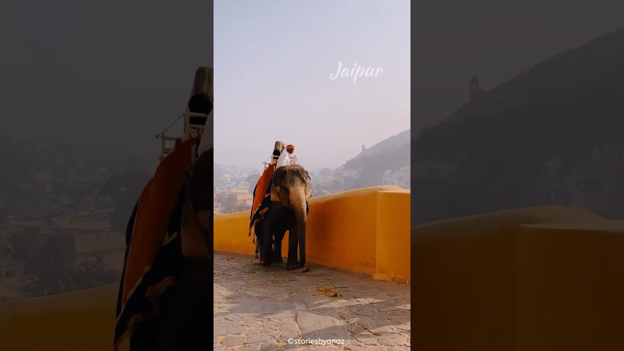 Jaipur Diaries: A Royal Escape 