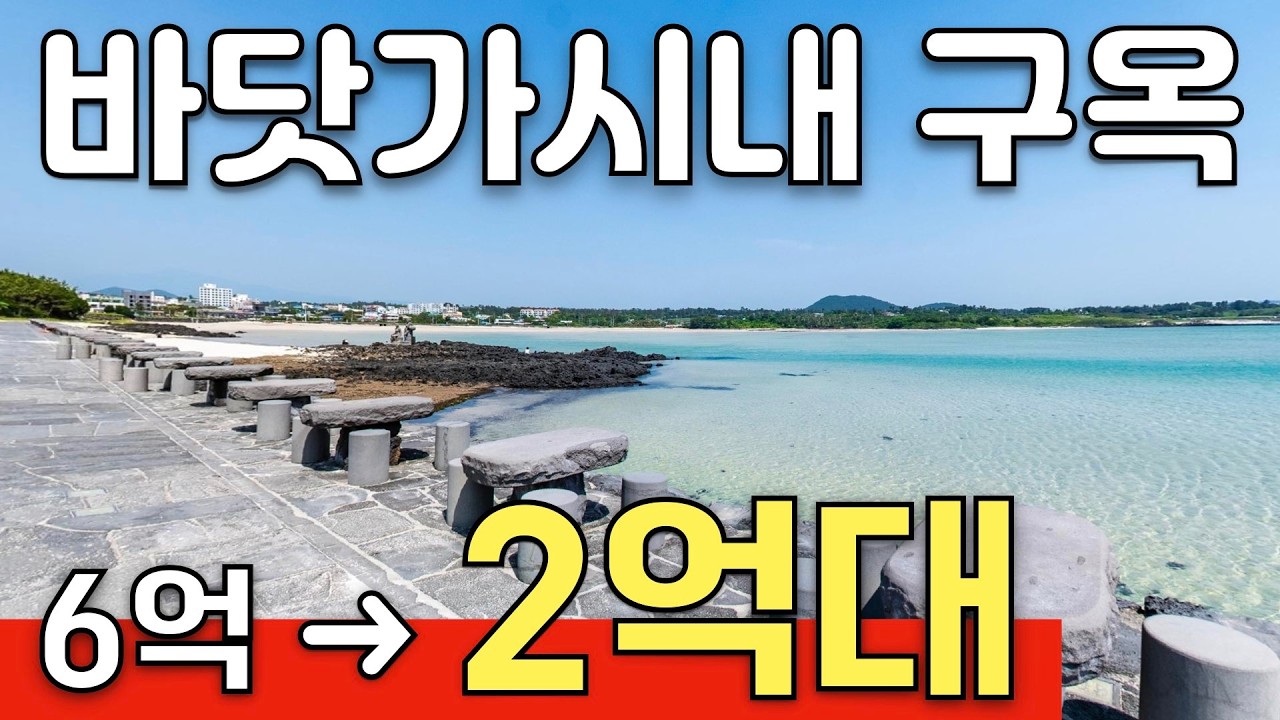 [2024타경29286] 제주 표선해수욕장 인근 156평 대지+주택, 34% 폭락! 2억 1천만 원의 진실