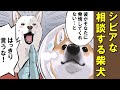 相談内容がだいぶややこしい柴犬【アニメ】【漫画】
