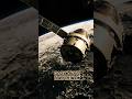 Artemis II passing close to the moon #artemisii #nasa
