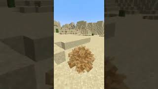 So there is Tumbleweed in Minecraft now?