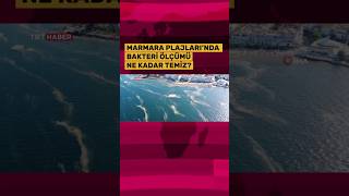 Marmara Plajları Ne Kadar Temiz?