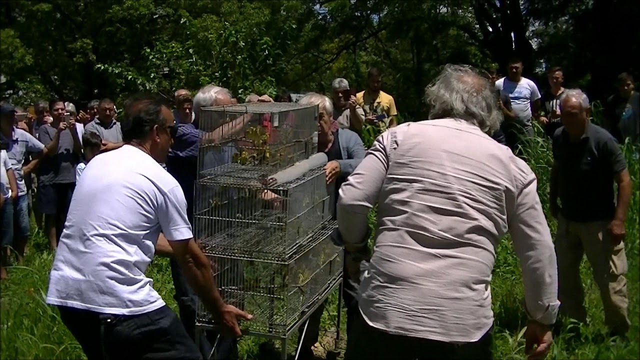 FEJIPBA Suelta de ejemplares final de ganadores San Justo