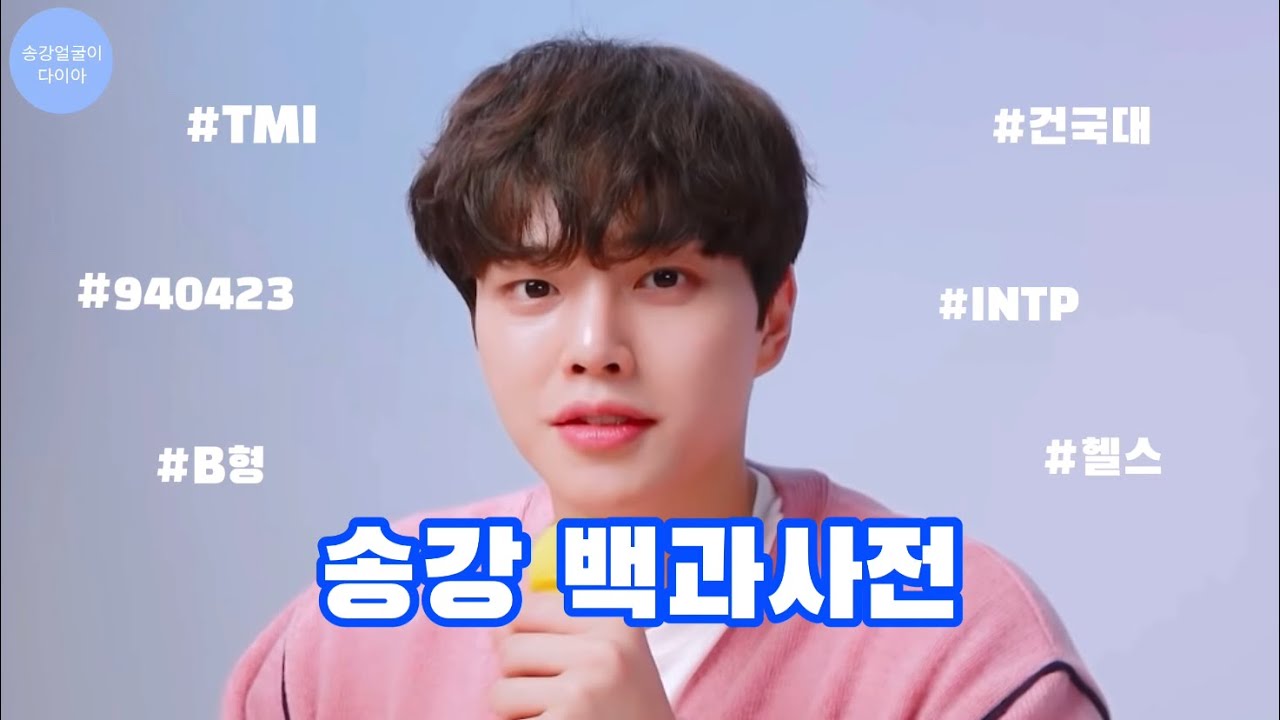 송강에 대하여 알아보자 | 송강 백과사전