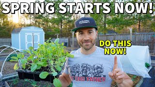 Why FEBRUARY Is The MOST IMPORTANT Month In Gardening: Start NOW!