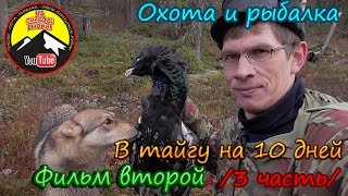 В тайгу на 10 дней. 2 фильм. /3 часть/ В тайгу на 10 дней. 2 фильм. /3 часть/