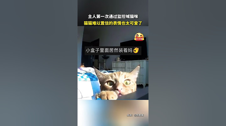社会百态 | 主人第一次通过监控喊猫咪，猫猫难以置信的表情也太可爱了