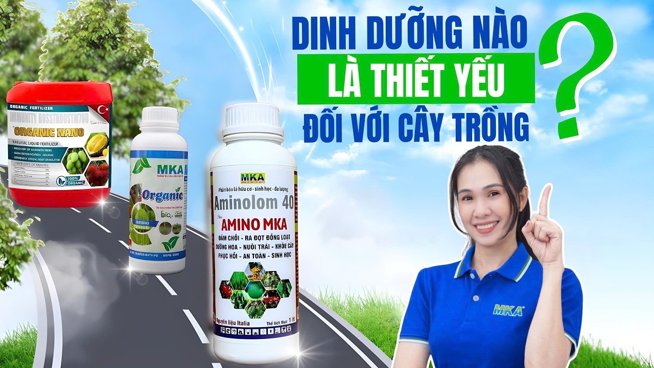 Hỏi đáp cùng MKA - Dinh dưỡng nào là thiết yếu cho cây trồng