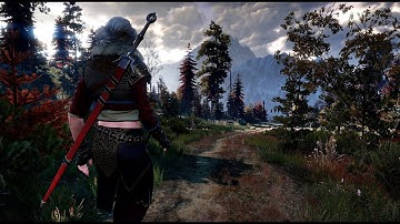 THE WITCHER 3 2K RAW CINEMATIC REALISM BEST ULTRA GRAPHICS MOD|GTX 1080 FX 6100|PC GAMEPLAY.