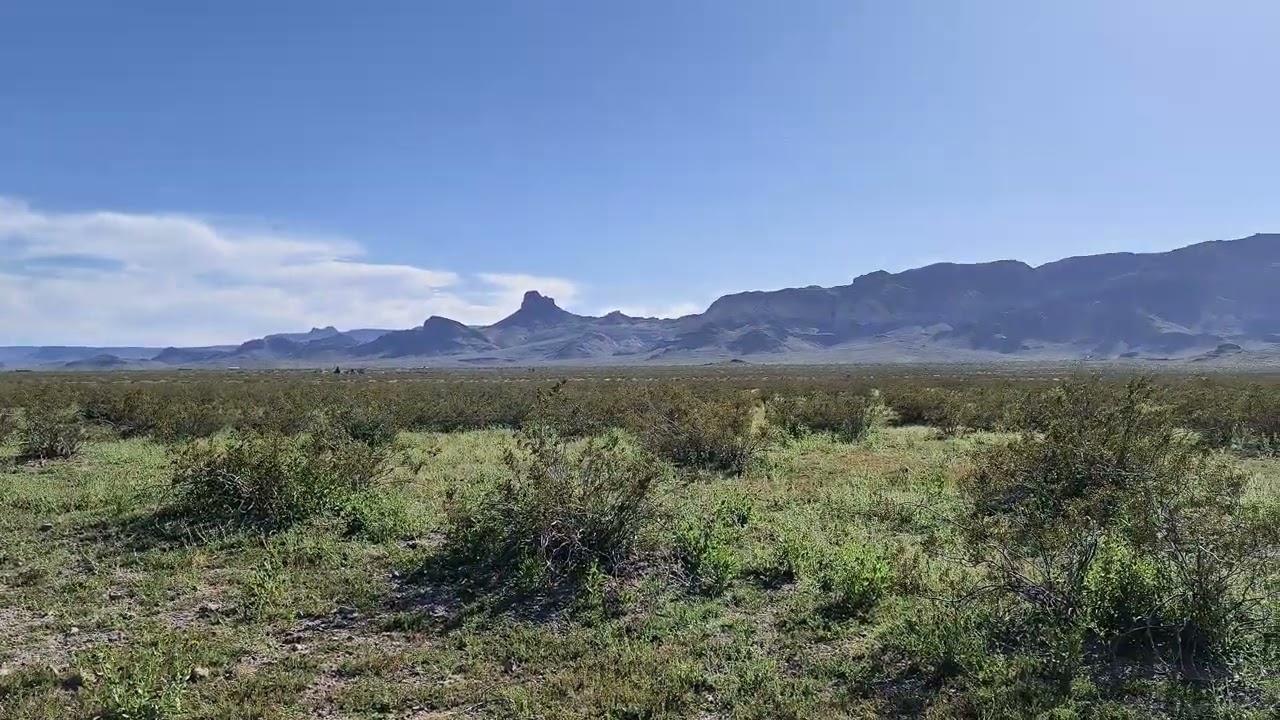 SOLD - 37.65 Acres –Corner Lot! In Golden Valley, Mohave County AZ .