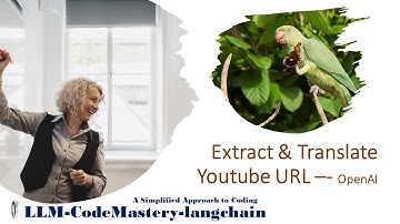 Extract and Translate YouTube Video Content with OpenAI and Langchain