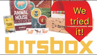 Famous Bitsbox Review - WoRtH iT? Amazon STEM Subscription Net Worth