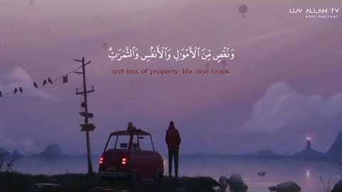 حالات واتس اب قران كريم || تلاوة موثرة للقارئ/ حذيفة بن خالد