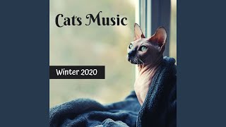 A Quiet Animal - Kathy Kittin